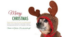 24615-merry-christmas-dog-love-1366-x-768