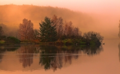 lake_morning_swimming_duck_fog_dawn_cool_trace_smooth_surface_island_trees_62319_2560x1600