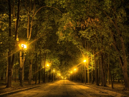 park_alley_trees_lights_105345_3968x2976