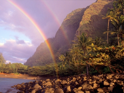 rainbow_sky_stones_clouds_palm_trees_coast_hawaii_14668_1600x1200