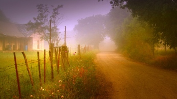 road_country_fog_protection_lodge_garden_trees_stakes_summer_60189_1366x768