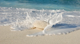 sea_ocean_sand_stone_splash_93546_1366x768