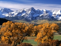 trees_autumn_crones_yellow_mountains_tops_colorado_7144_1600x1200