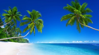 tropical_beach_paradise_5k-2560x1440