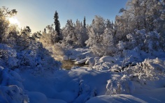 winter_river_steam_trees_snow_99376_1920x1200