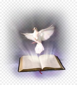 kisspng-bible-holy-spirit-in-christianity-religious-text-holy-bible-5ab6063aeb3991.6060739815218785869635