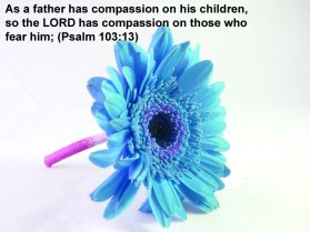 Psalm-103-13-Bible-Verse