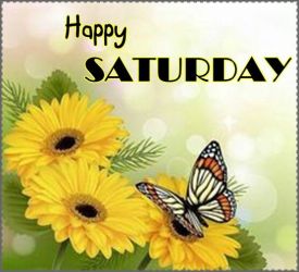 276817-Happy-Saturday-Butterfly-Quote