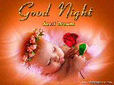 good_night_with_flowers_good_night1497251454