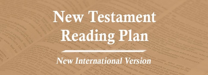 NEW TESTAMENT READUNG IN BROWN